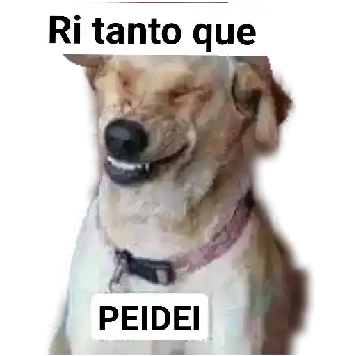 Figurinha: Cachorro Ri Tanto Que Peidei