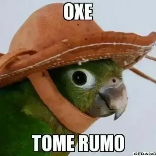 Figurinha: Oxe, tome rumo