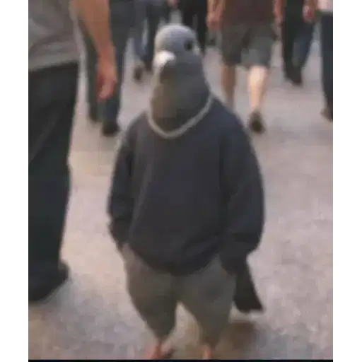 Figurinha: Pombo de Moletom e Corrente