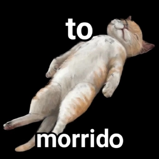 Figurinha: Gato Morto