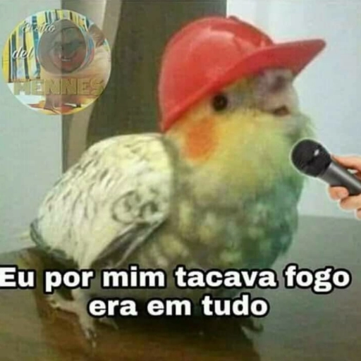 Figurinha: Calopsita com boné e microfone