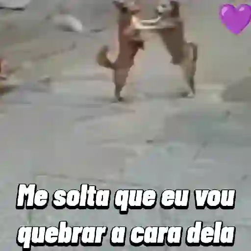 Figurinha: Cachorros brigando