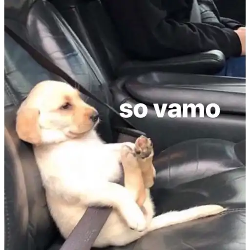 Figurinha: Cachorrinho no carro 'so vamo'
