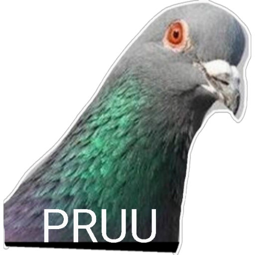 Figurinha: Pombo PRUU