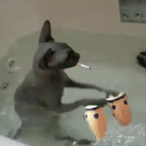 Figurinha: Gato fumando e tocando tambor