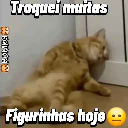Figurinha: Gato cansado de trocar figurinhas