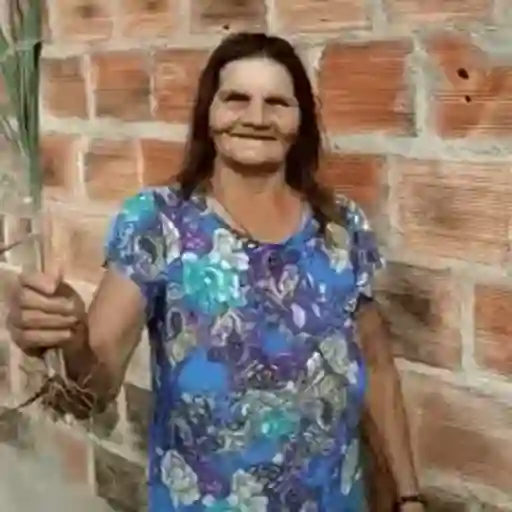 Figurinha: Mulher sorrindo com planta na mão
