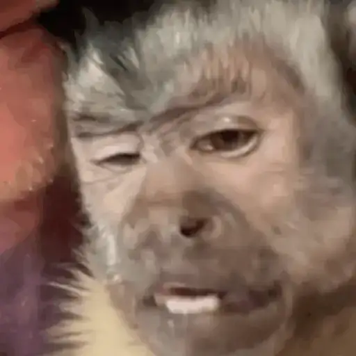 Figurinha: Macaco com cara de sono