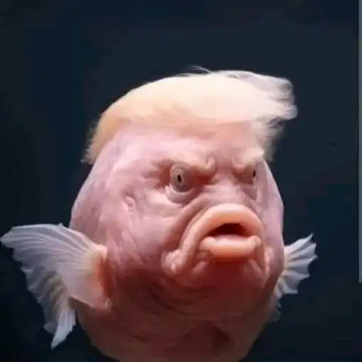 Figurinha: Peixe com cabelo de Trump