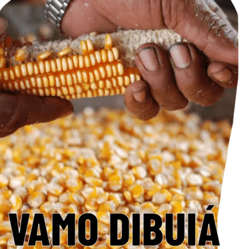 Figurinha: Mãos colhendo milho Vamo Dibuiá