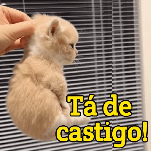 Figurinha: Gatinho de castigo