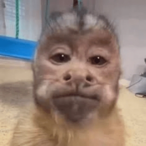 Figurinha: Macaco com cara de sono