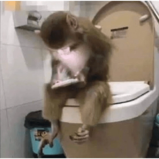 Figurinha: Macaco no vaso sanitário usando celular