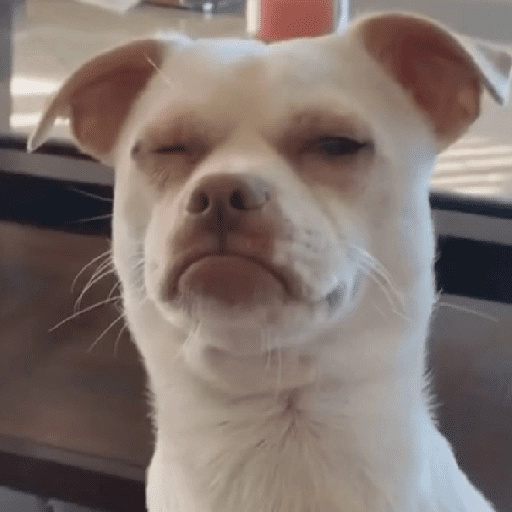 Figurinha: Cachorro desconfiado