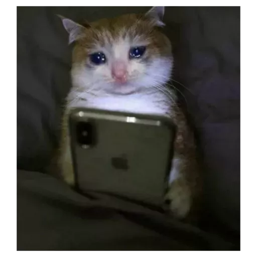 Figurinha: Gato triste no celular
