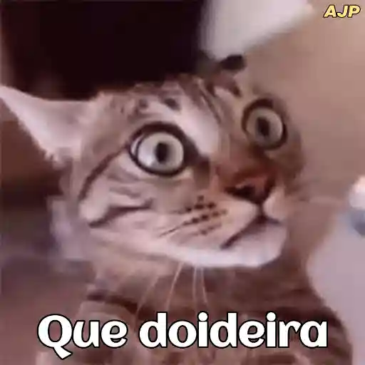 Figurinha: Gato com olhos arregalados