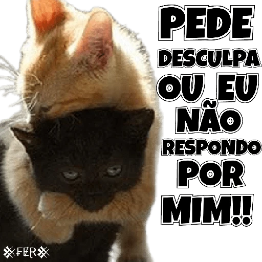 Figurinha: Peça desculpas ou eu não respondo por mi