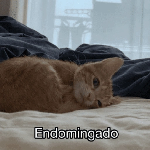 Figurinha: Endomingado