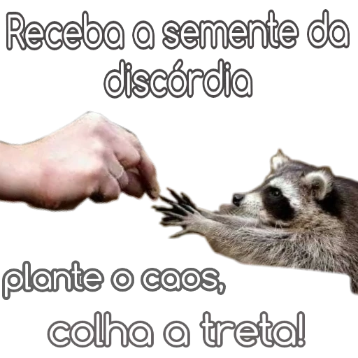 Figurinha: Semente da discórdia