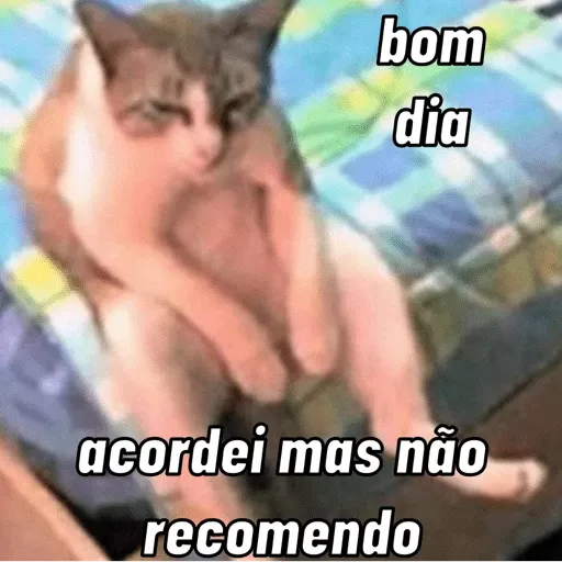 Figurinha: Gato Preguiçoso de Bom Dia