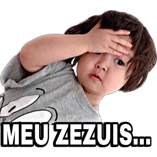 Figurinha: Meu Zuzuis