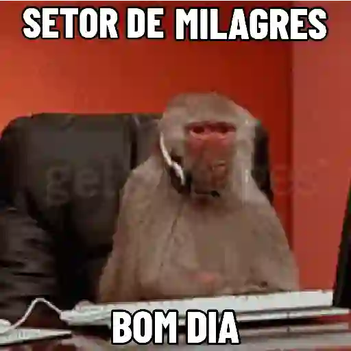 Figurinha: Macaco no Setor de Milagres