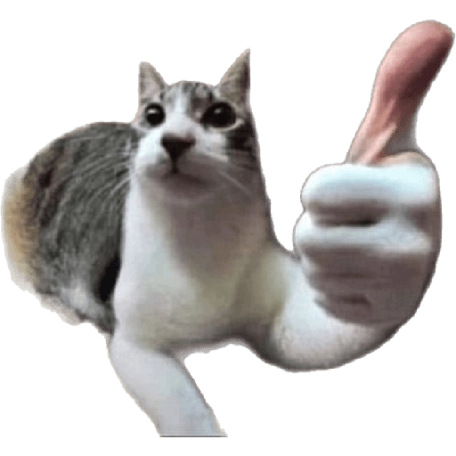 Figurinha: Gato joinha