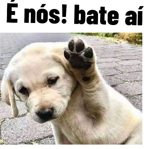 Figurinha: Cachorro dizendo "é nós!"