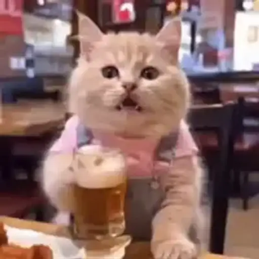Figurinha: Gatinho Cervejeiro