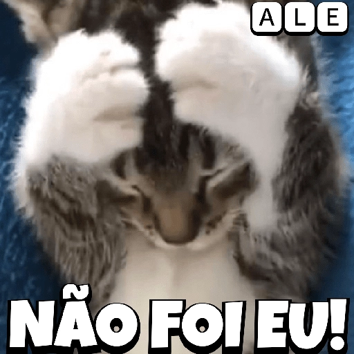 Sticker: Gatito lindo dice: No fui yo!