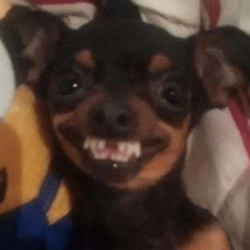 Figurinha: Cachorro sorrindo engraçado