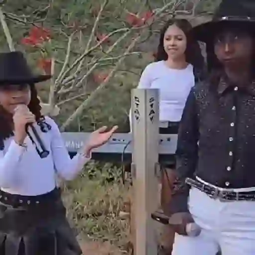 Figurinha: Meninas Cantando Country