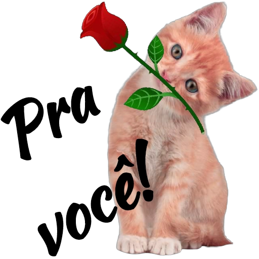 Figurinha: Gatinho com rosa