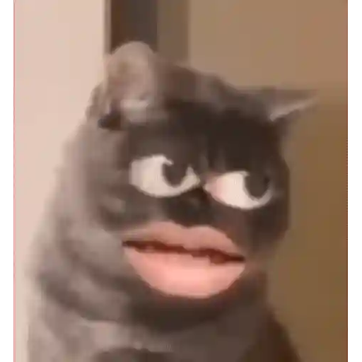 Figurinha: Gato com boca humana animada