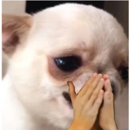 Figurinha: Cachorrinho implorando