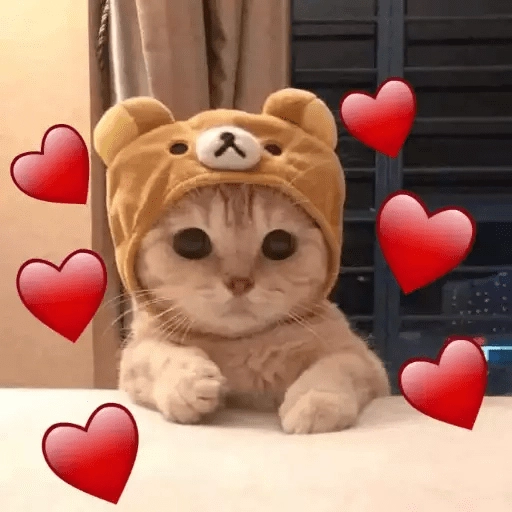 Figurinha: Gatinho fofo com chapéu de urso e coraçõ