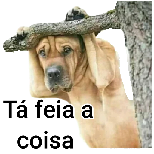 Figurinha: Cachorro em apuros