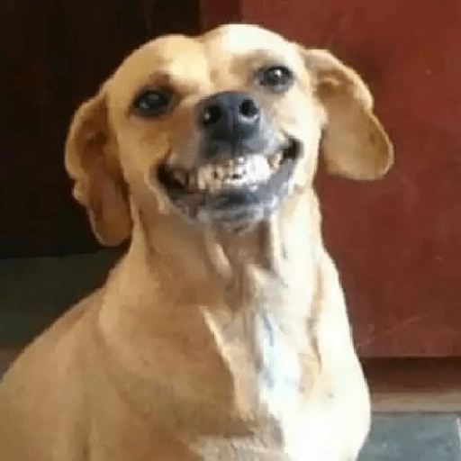 Figurinha: Cachorro sorrindo
