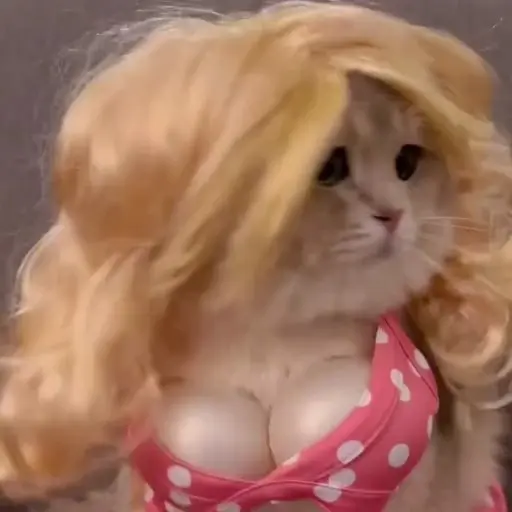 Figurinha: Gata De Peruca Loura