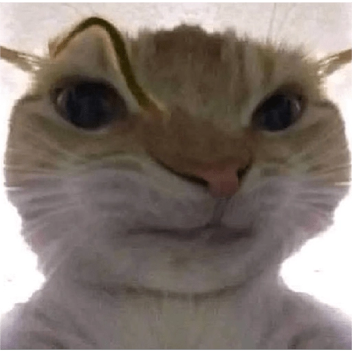 Figurinha: Gato Curioso
