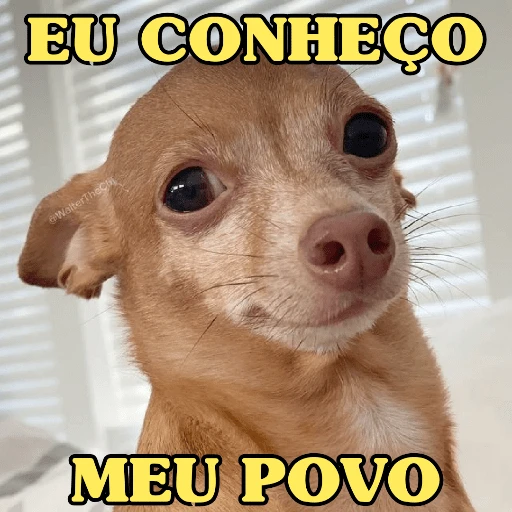 Figurinha: Eu conheço meu povo
