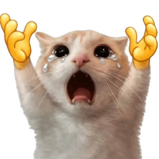Figurinha: Gato chorando