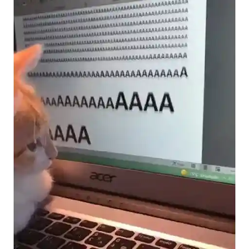 Figurinha: Gato Digitando "A"