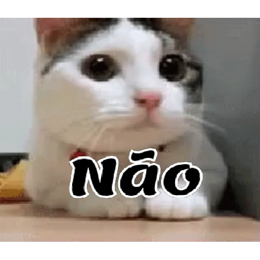 Figurinha: Gatinho diz Não