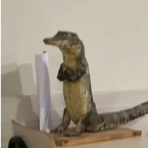 Figurinha: Jacaré emburrado