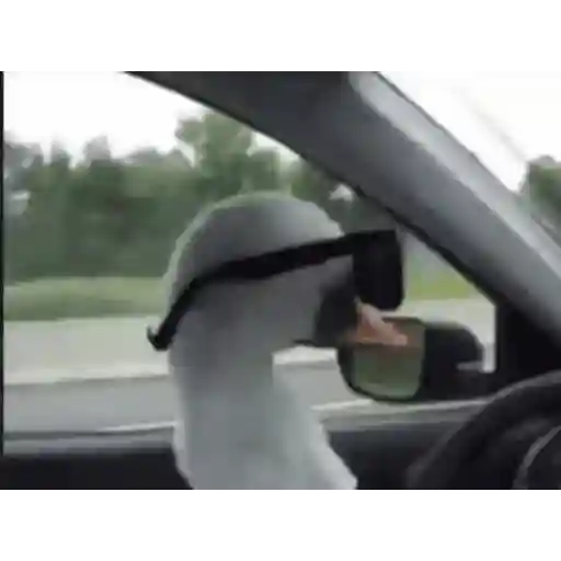 Figurinha: Pato de óculos dirigindo