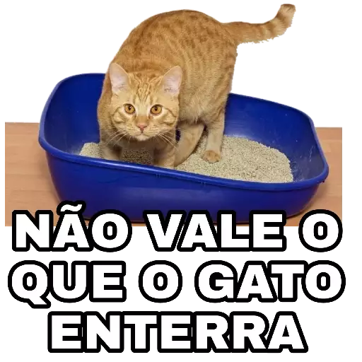 Figurinha: Gato na caixa de areia