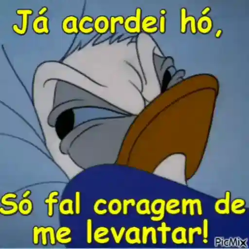 Figurinha: Pato Donald: Só falta coragem de levanta