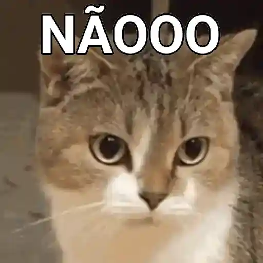 Figurinha: Gato Fofo Diz Naooo