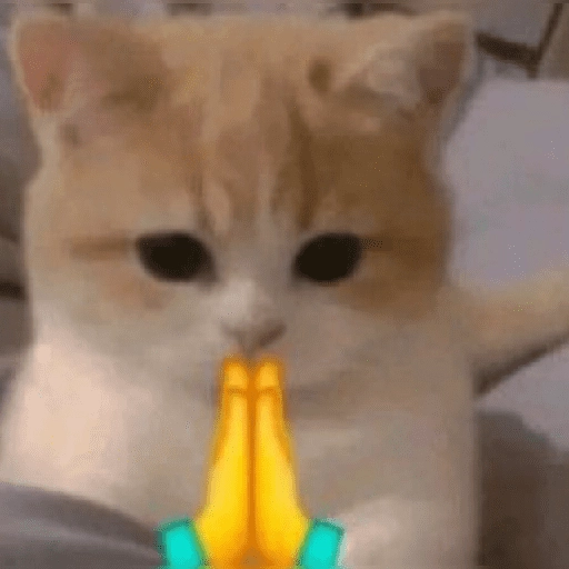 Figurinha: Gato Rezando